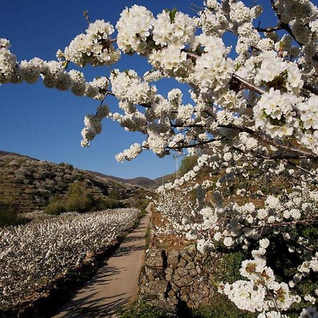 Casa Rural Arbequina, Refugio De Primavera Casas del Monte ภายนอก รูปภาพ