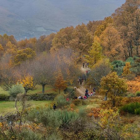 Casa Rural Arbequina, Refugio De Primavera Casas del Monte ภายนอก รูปภาพ