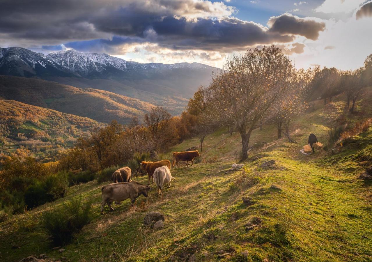 Casa Rural Arbequina, Refugio De Primavera Casas del Monte ภายนอก รูปภาพ