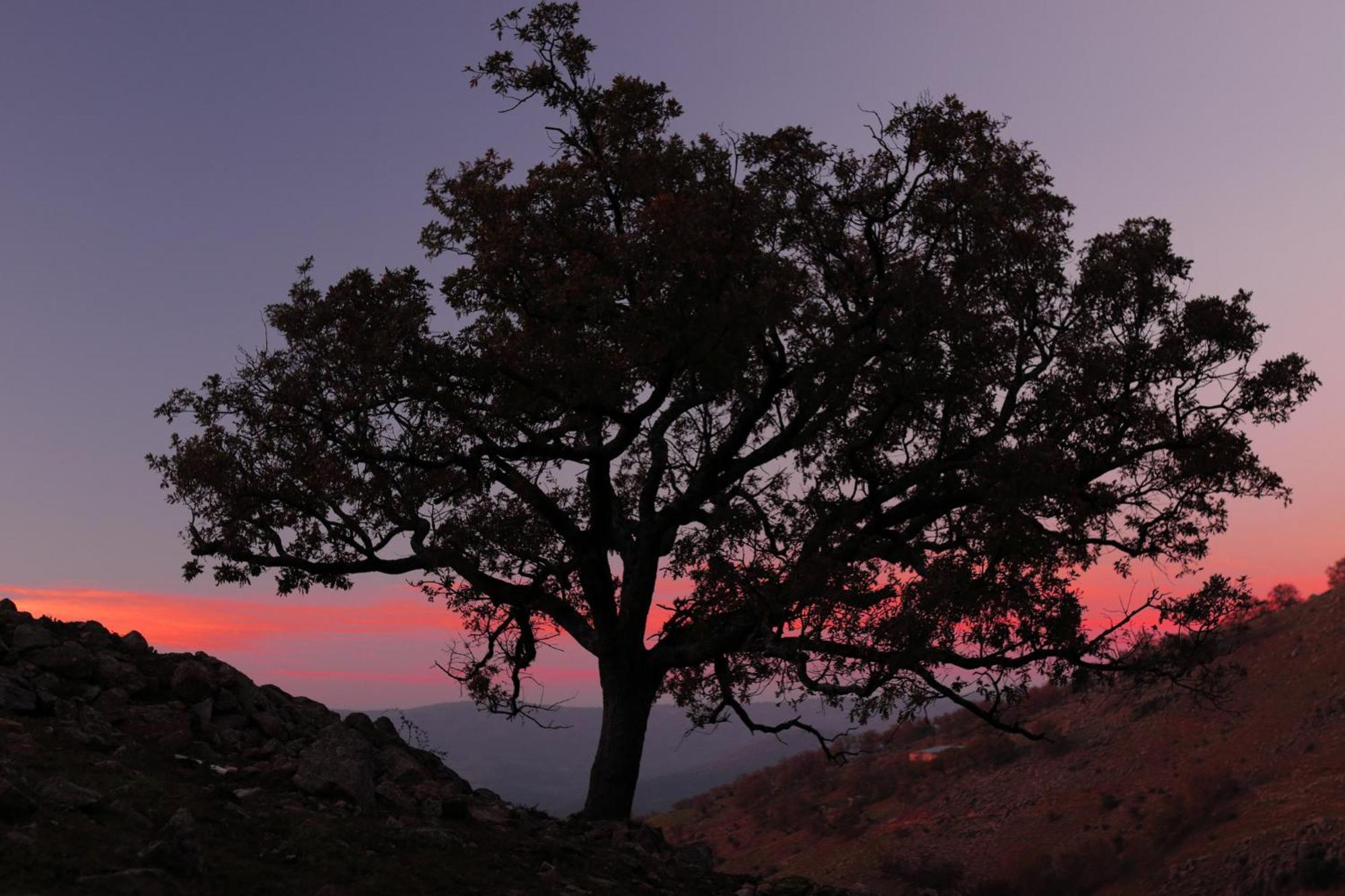 Casa Rural Arbequina, Refugio De Primavera Casas del Monte ภายนอก รูปภาพ