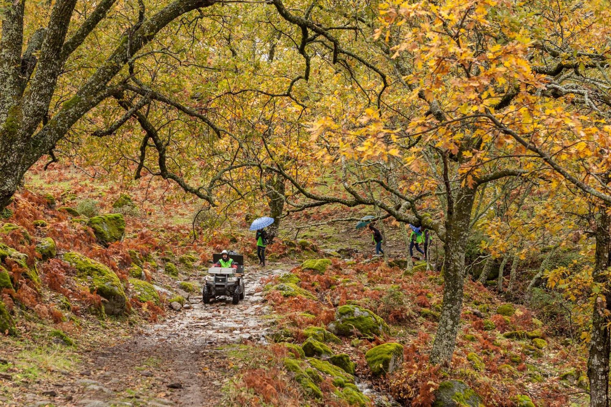 Casa Rural Arbequina, Refugio De Primavera Casas del Monte ภายนอก รูปภาพ